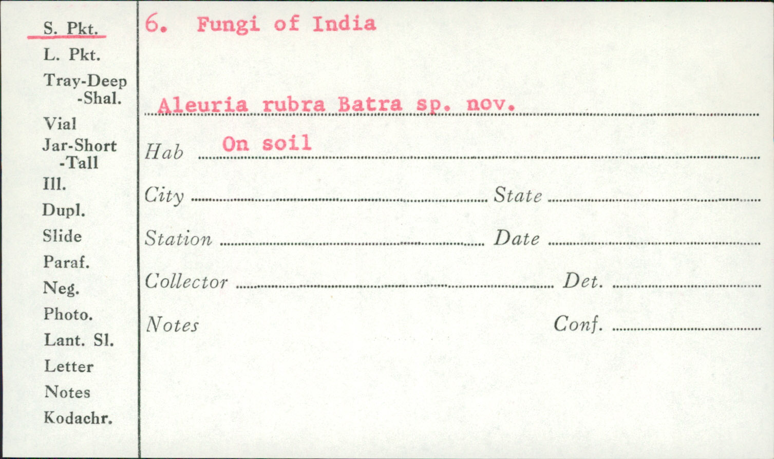 Aleuria rubra image