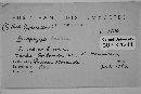 Thumbnail image of current specimen