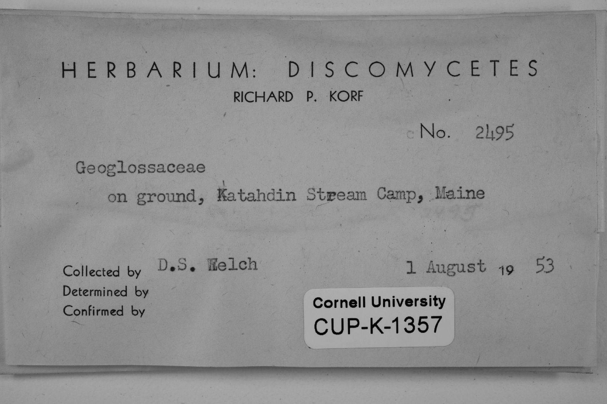 Geoglossaceae thumbnail