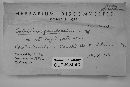 Peziza ostracoderma image