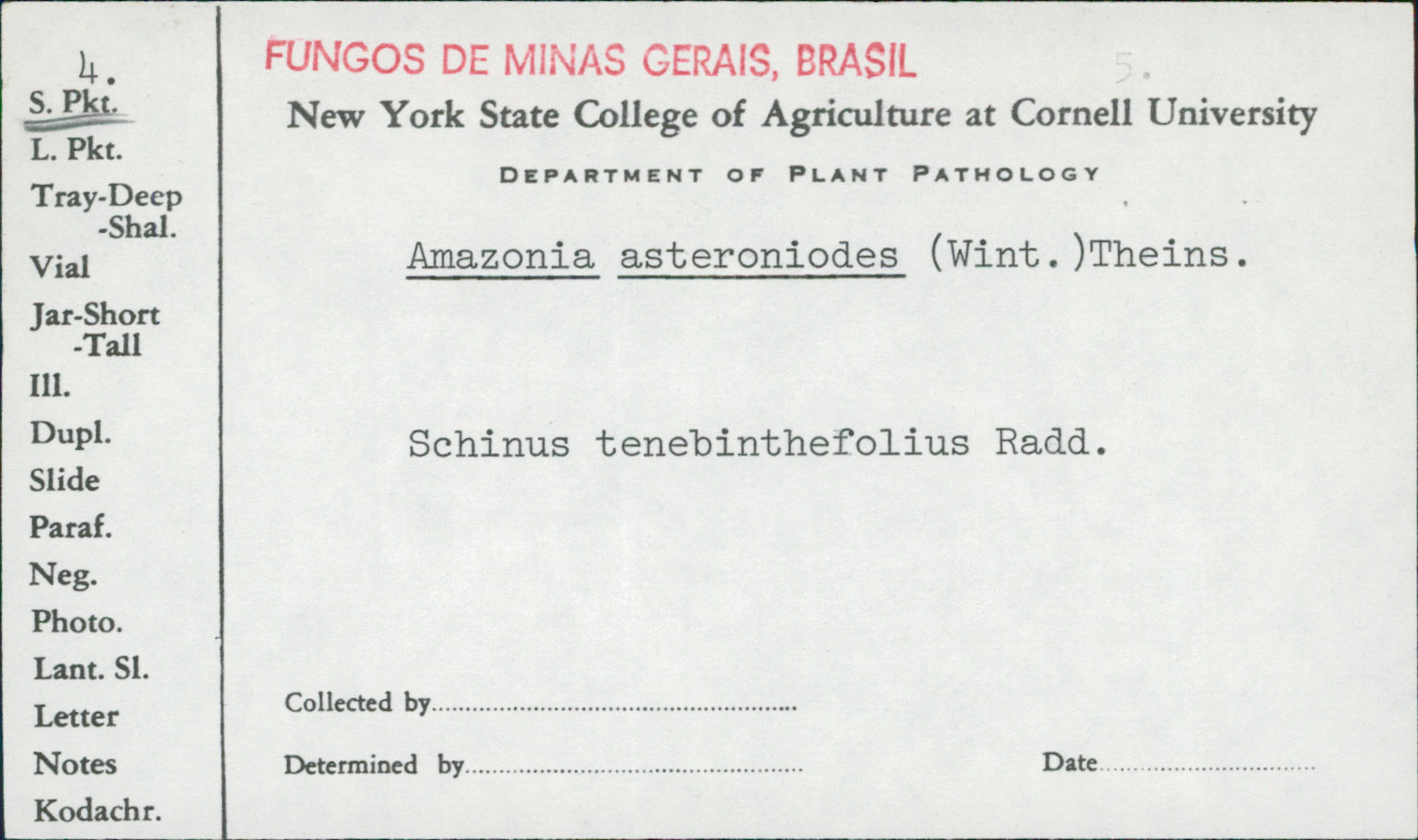 Amazonia
