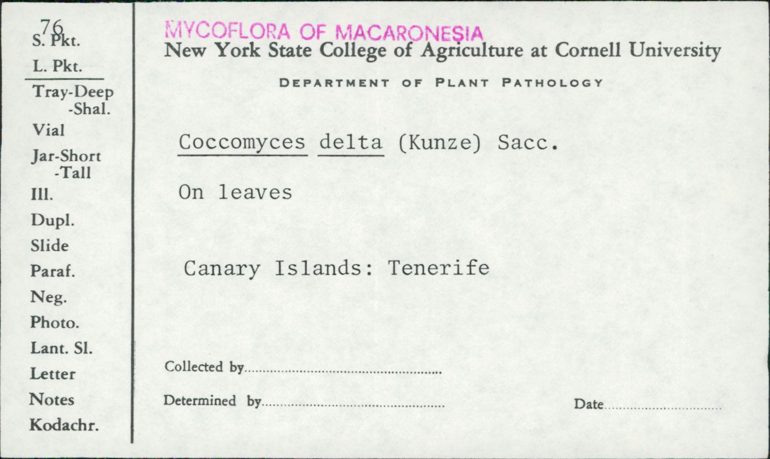 Coccomyces delta image