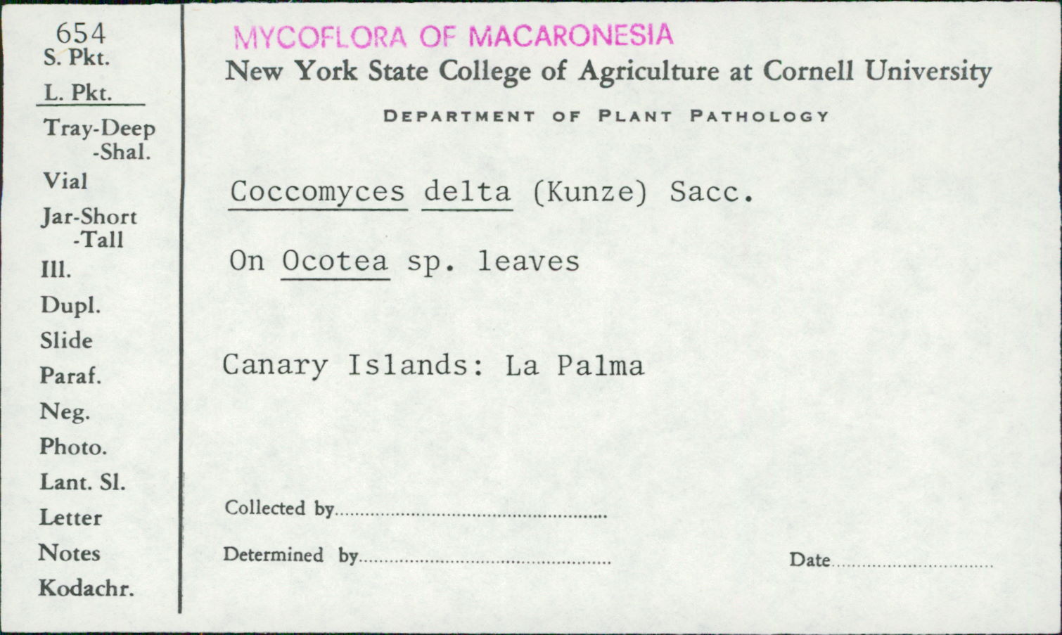 Coccomyces delta image