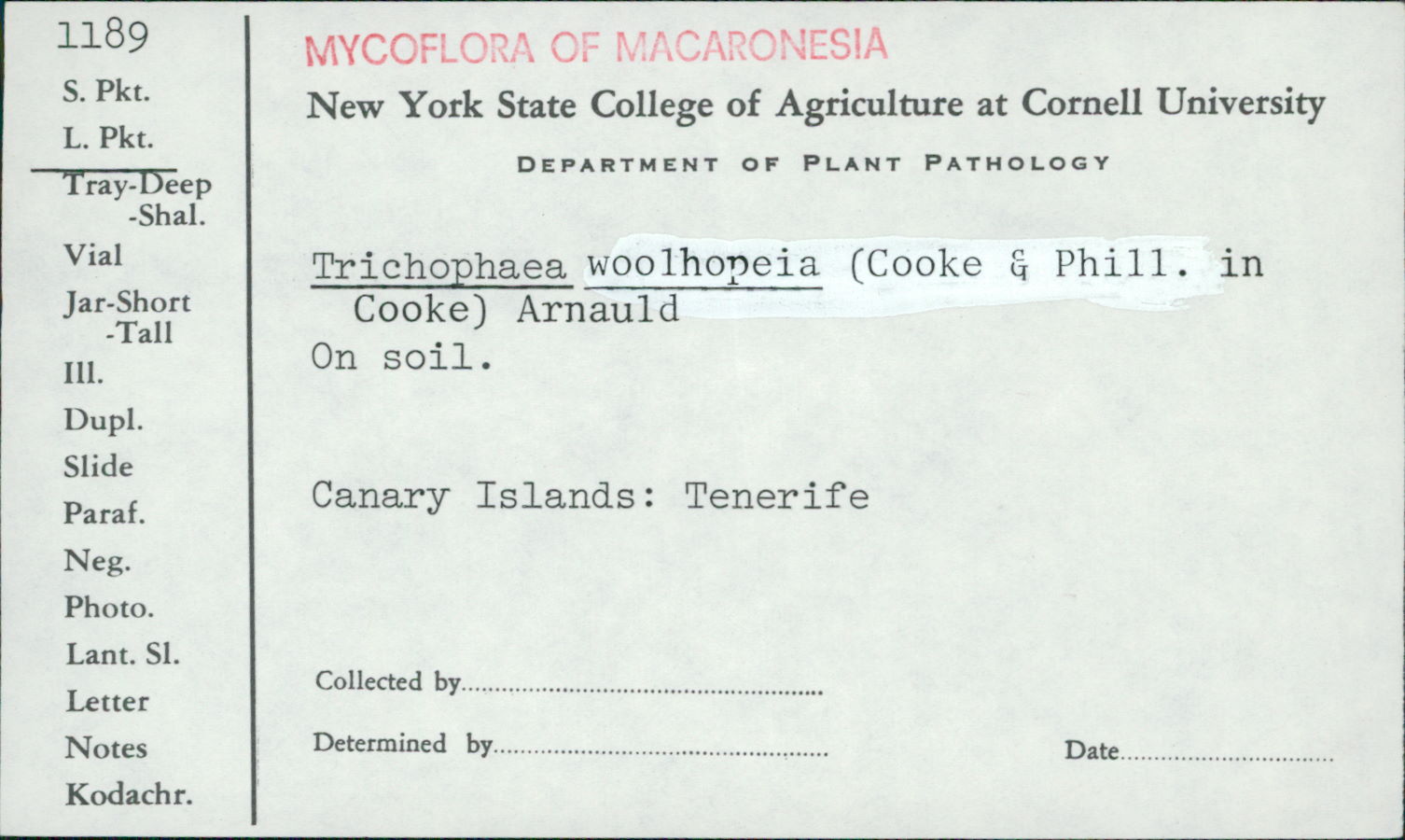 Trichophaea woolhopeia