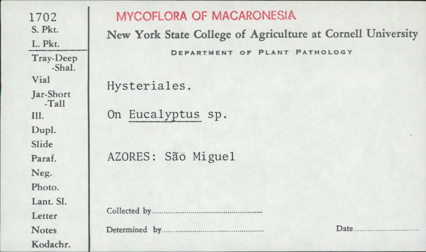 Hysteriales