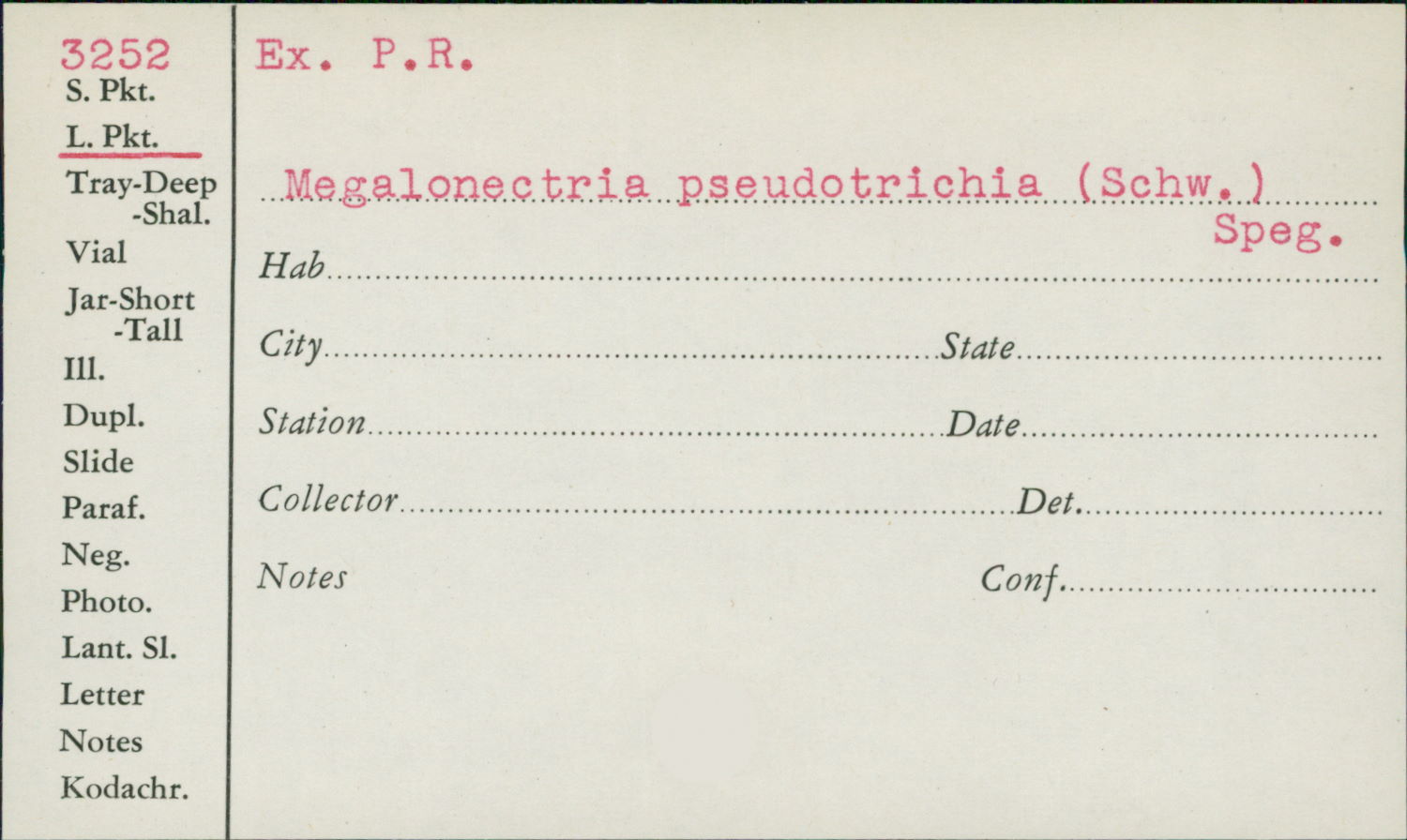 Pseudotrichia