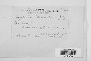 Thumbnail image of current specimen