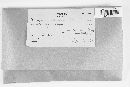 Media resource of Oligoporus stipticus
