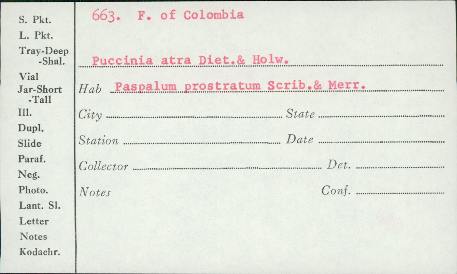 Puccinia atra image