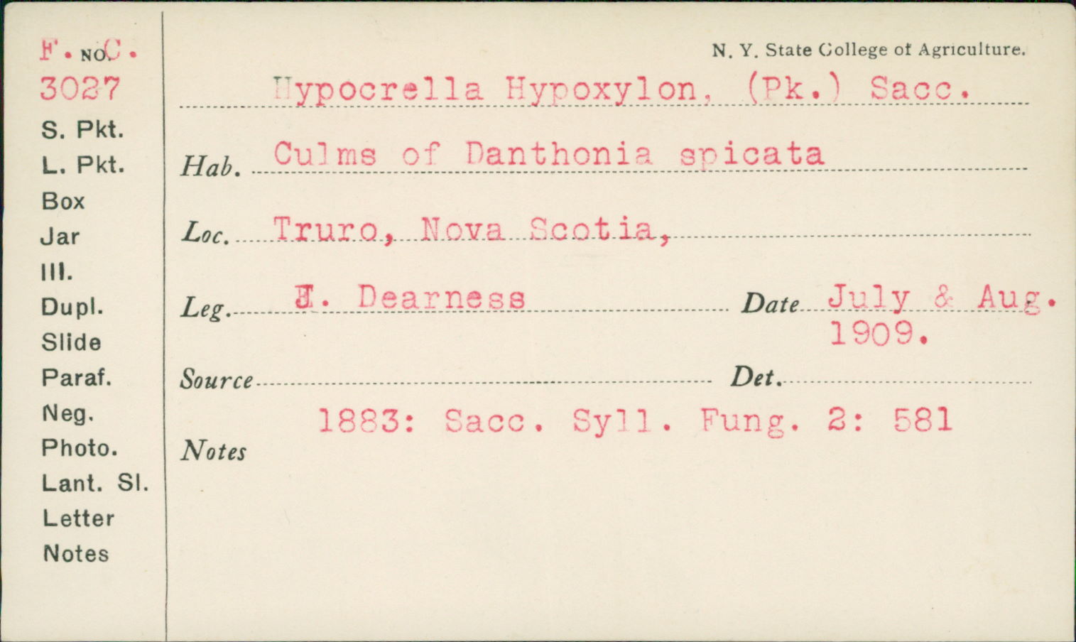Atkinsonella hypoxylon image