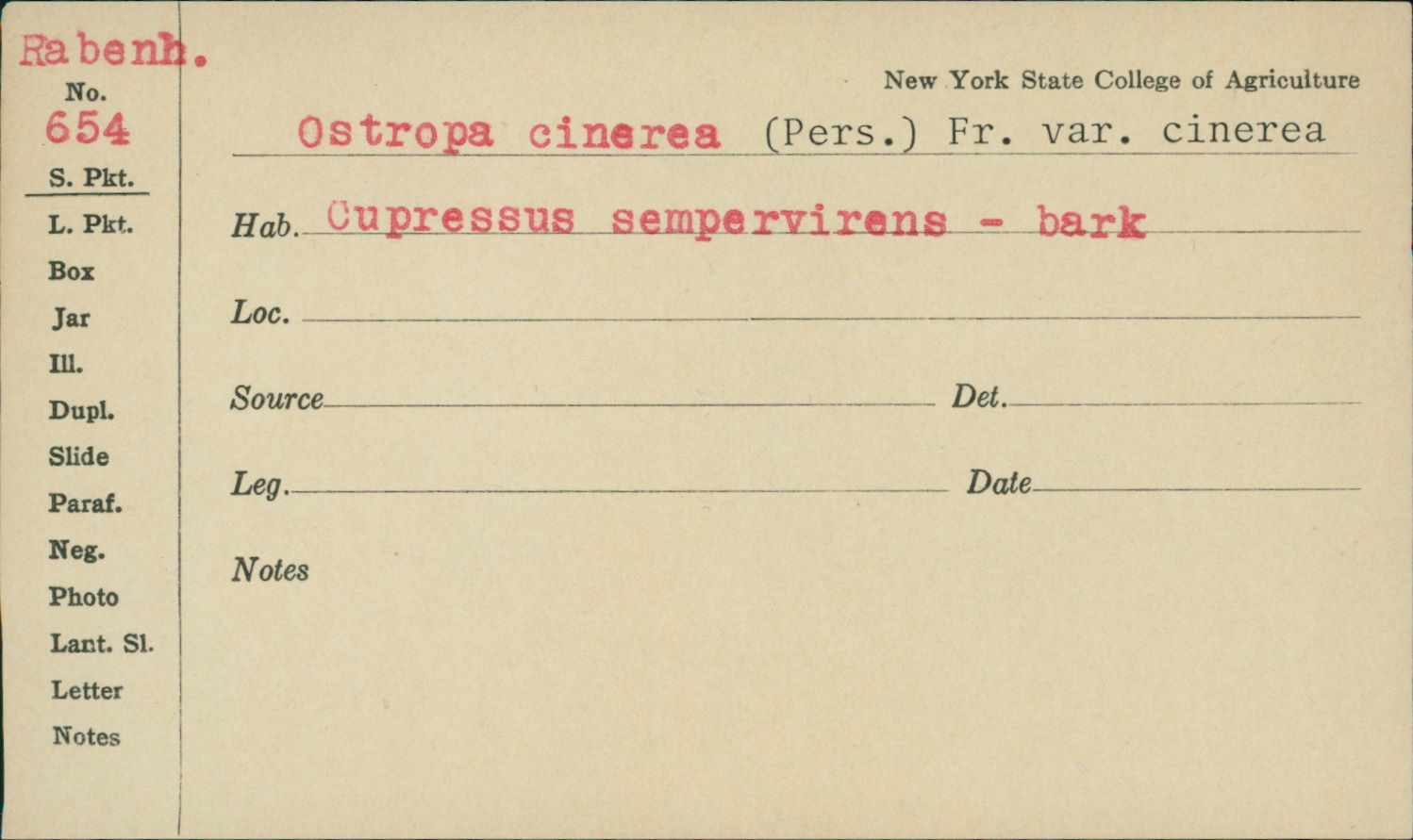 Orphanomyces