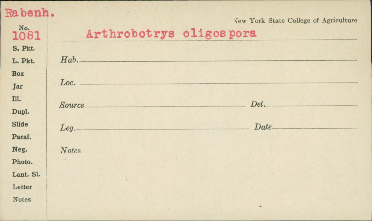 Arthrobotrys oligospora thumbnail