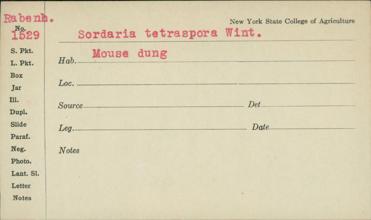 Sordaria tetraspora image