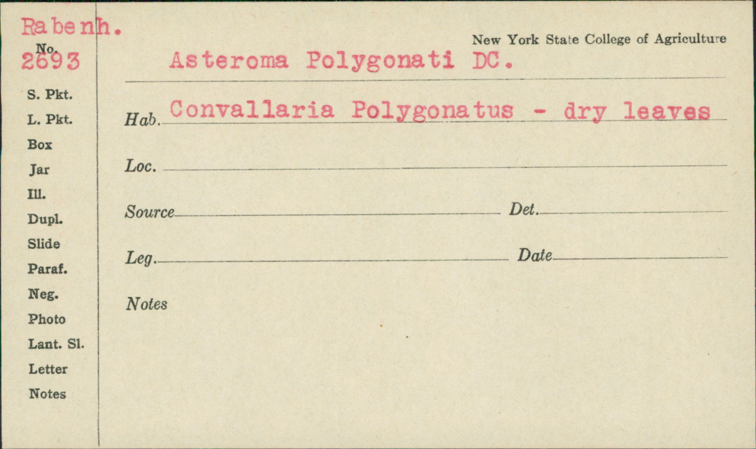 Mycosphaerella asteroma image