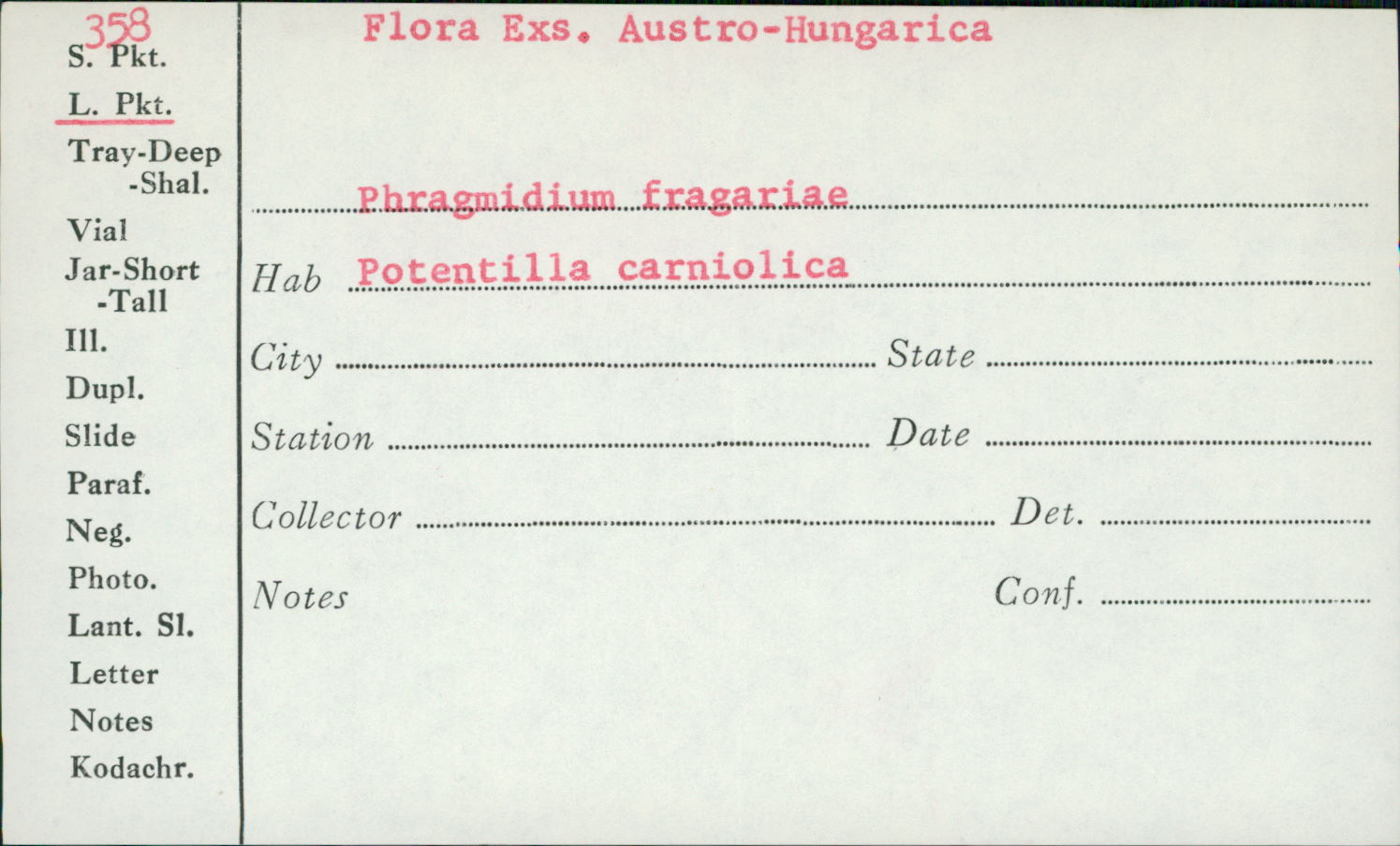 Phragmidium fragariae