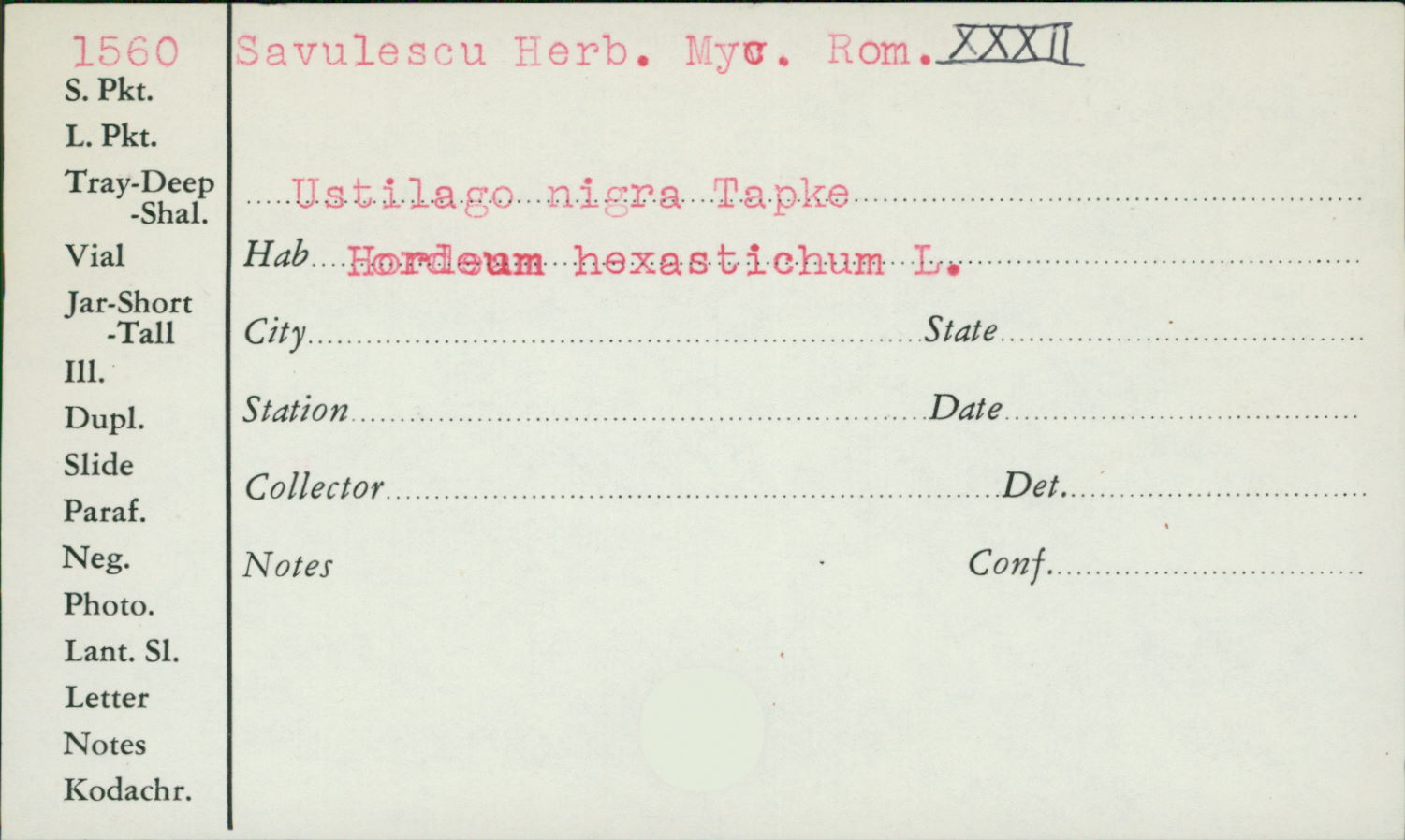 Ustilago nigra image