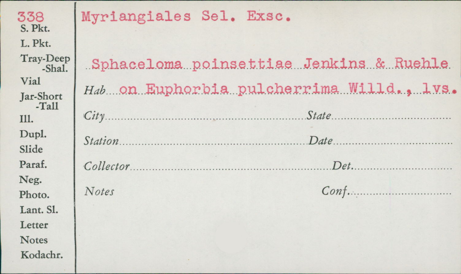 Sphaceloma poinsettiae thumbnail