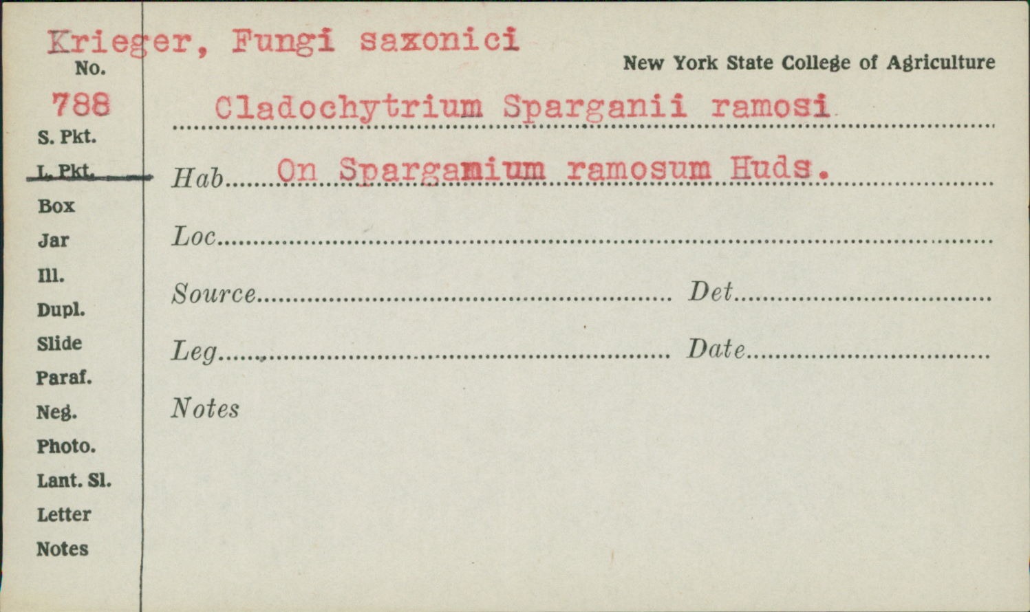Cladochytrium