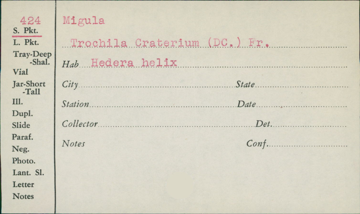 Craterium
