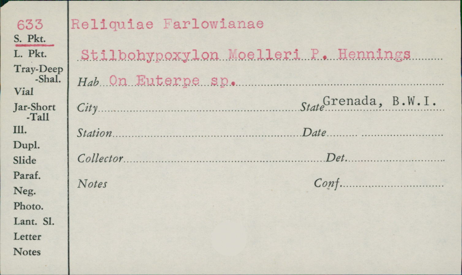 Stilbohypoxylon
