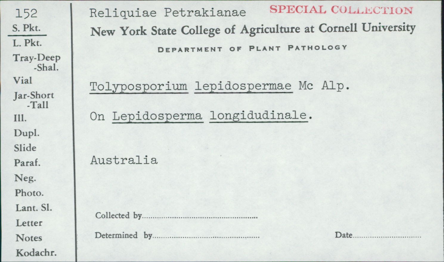 Tolyposporium thumbnail
