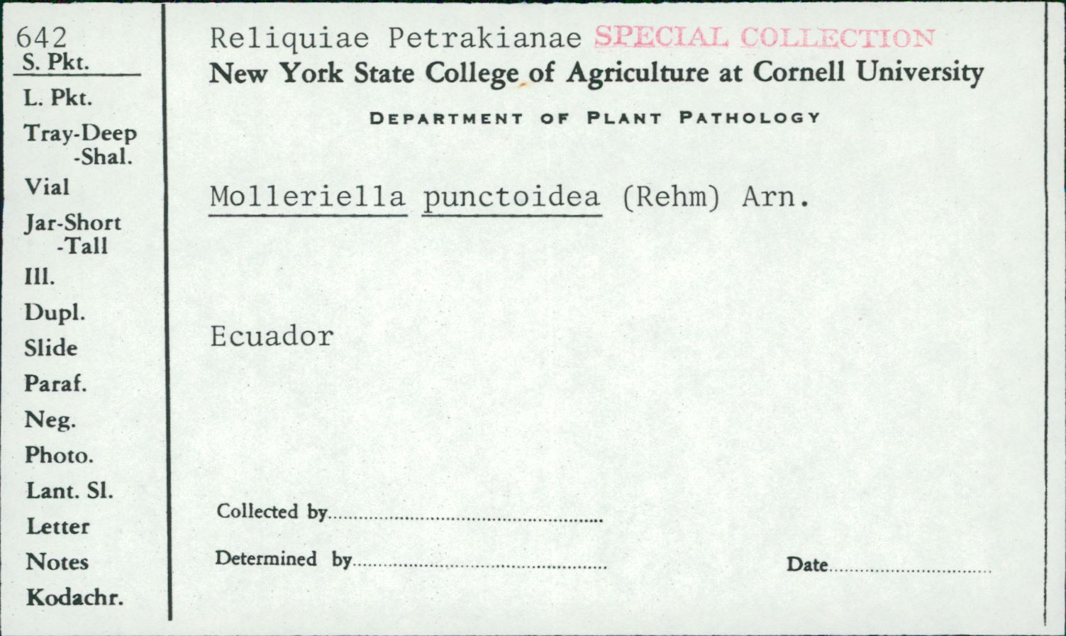 Molleriella thumbnail