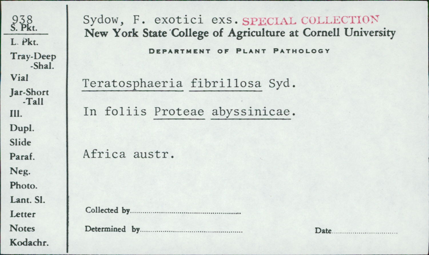 Teratosphaeria