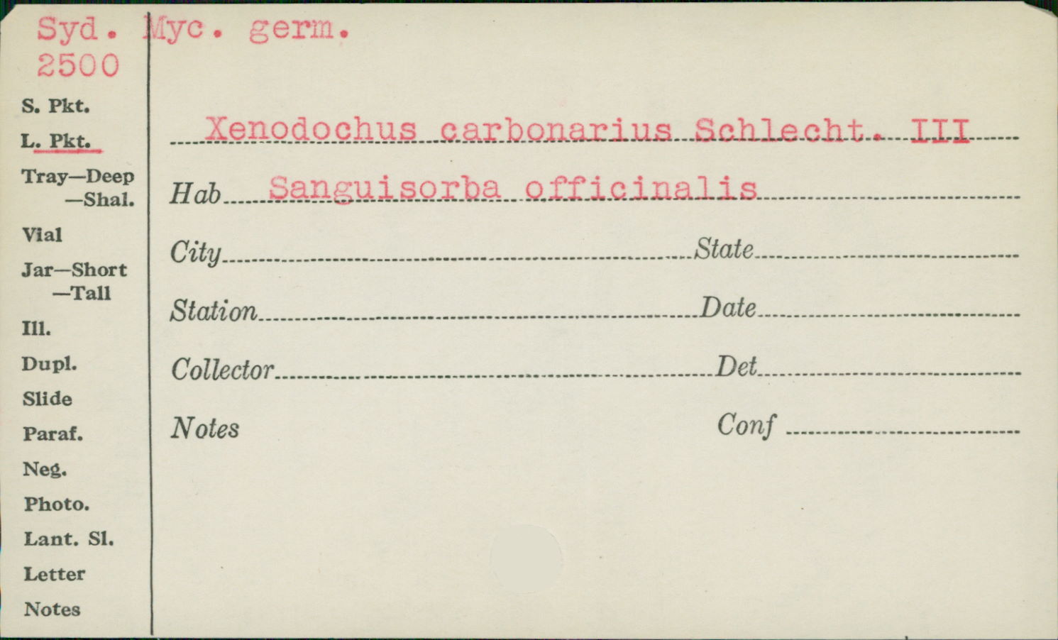 Xenodochus