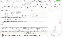 Microstoma protractum image