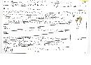 Spathularia flavida image