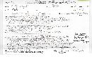 Catathelasma ventricosum image