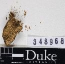 Thumbnail image of current specimen