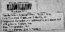 Steccherinum ochraceum image