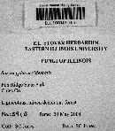 Sarcoscypha occidentalis image