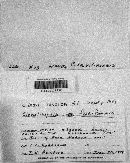 Clavulinopsis fusiformis image