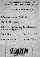 Suillus americanus image