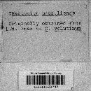 Image Associated With the Occurrence