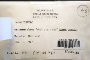 Thumbnail image of current specimen