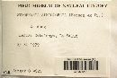 Thumbnail image of current specimen