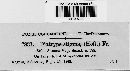Diatrype stigma image
