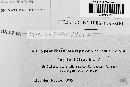 Thumbnail image of current specimen