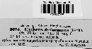 Taphrina deformans image
