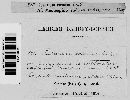 Gibberella zeae image