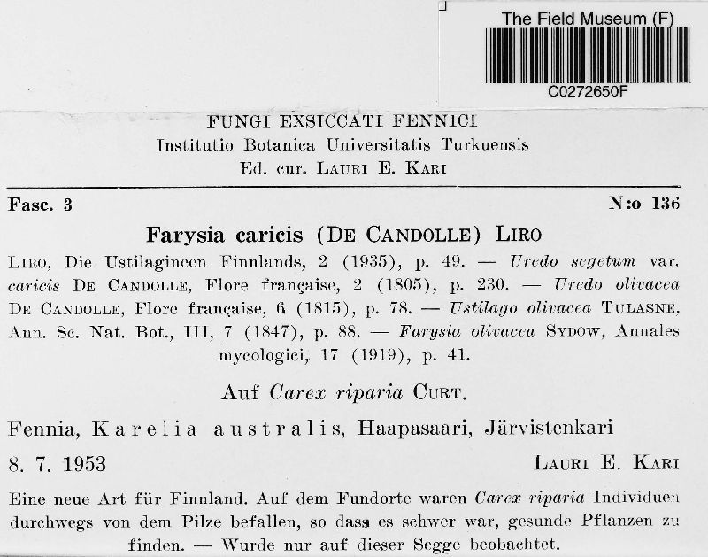 Farysia caricis image