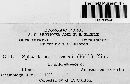 Sphacelotheca ischaemi image
