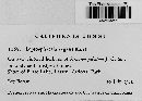 Media resource of Leptosphaeria vagans