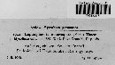 Media resource of Leptosphaeria macrospora