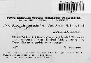 Media resource of Didymella abieticola