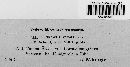 Media resource of Leiosphaerella vexata