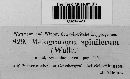 Melogramma spiniferum image